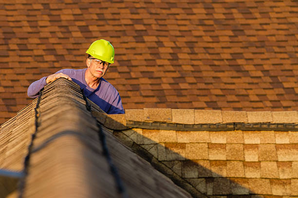 Best Roof Repair Services  in Fowlerville, MI