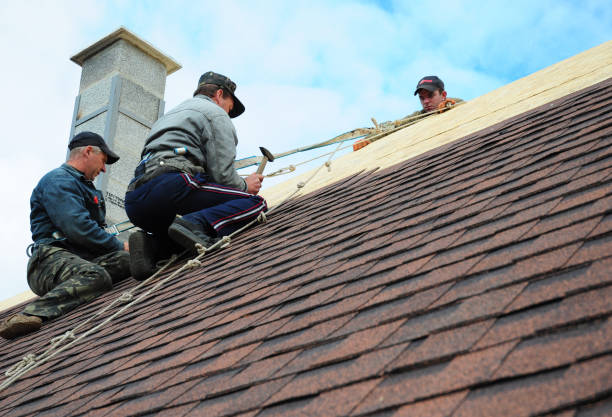 Professional Roofing Contractor in Fowlerville, MI